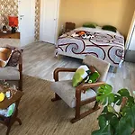 Ruime Studio \'In De Drie Koningen\' In Hartje Middelburg
